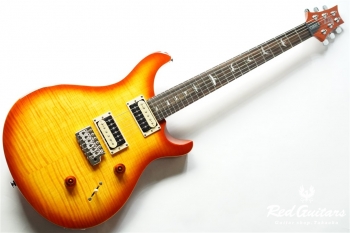  SE Custom 24 - VS